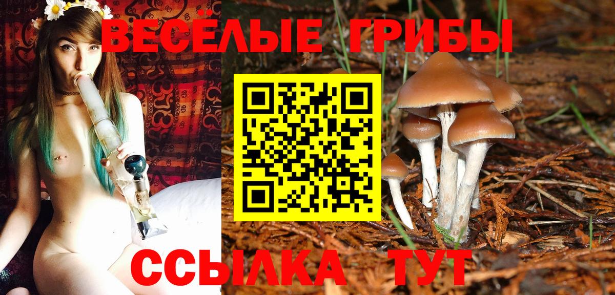 Оренбург  дарнет шоп  Вход с VPN  Псилоцибиновые грибы прущие грибы  Псилоцибиновые грибы мухоморы 